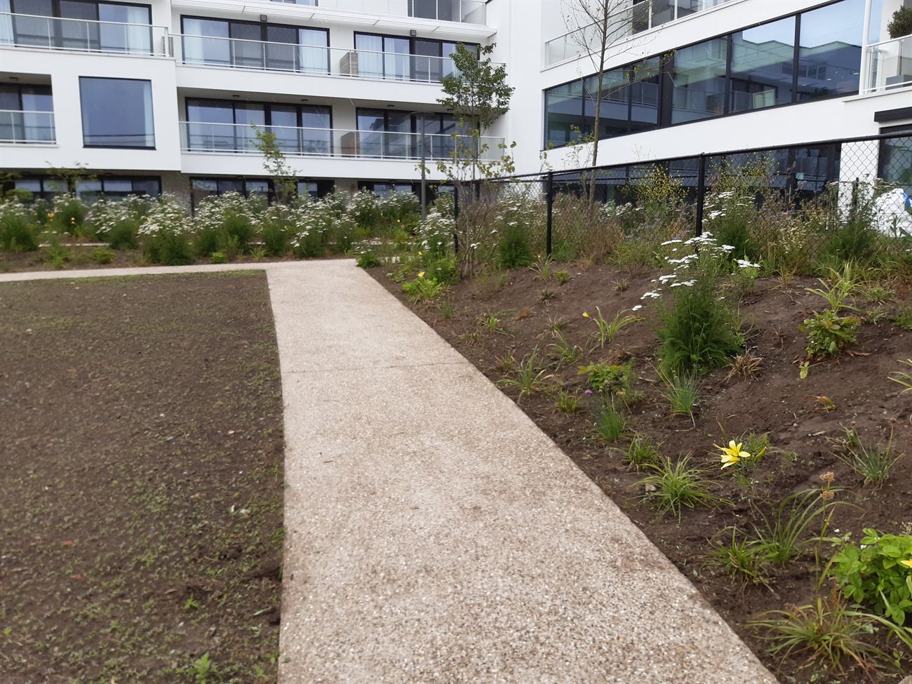 Nieuwe border langs een wandelpad bij appartementen