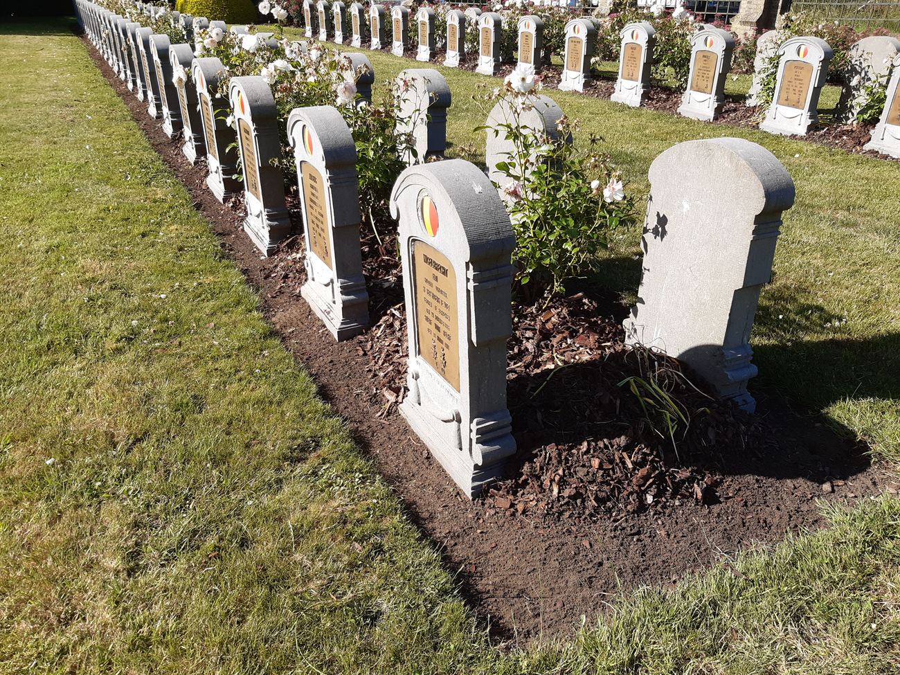 Onderhouden gras en rozen rond herdenkingsstenen