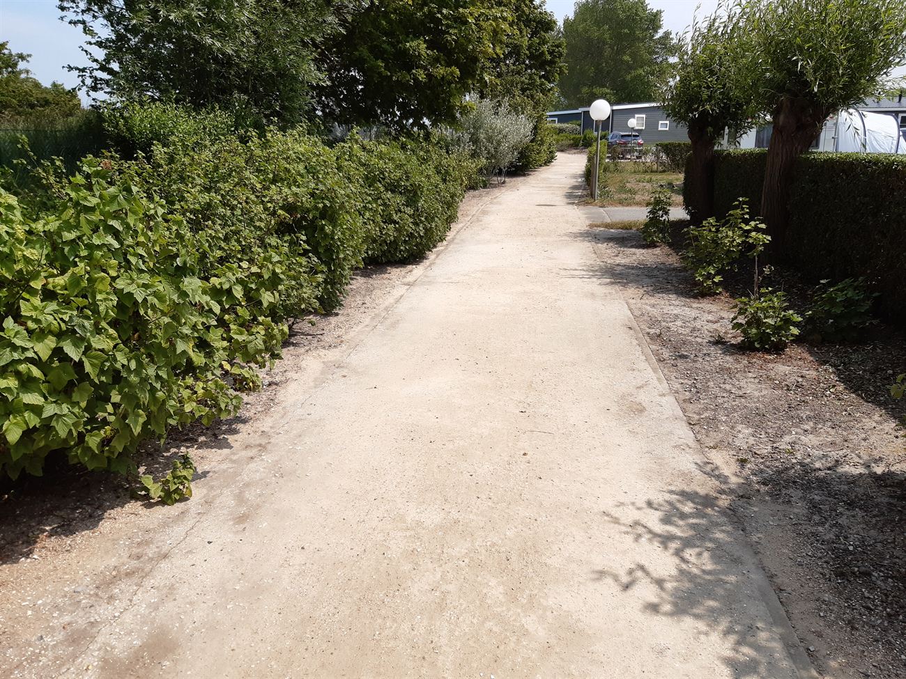 Breed pad met hagen, bomen en struiken