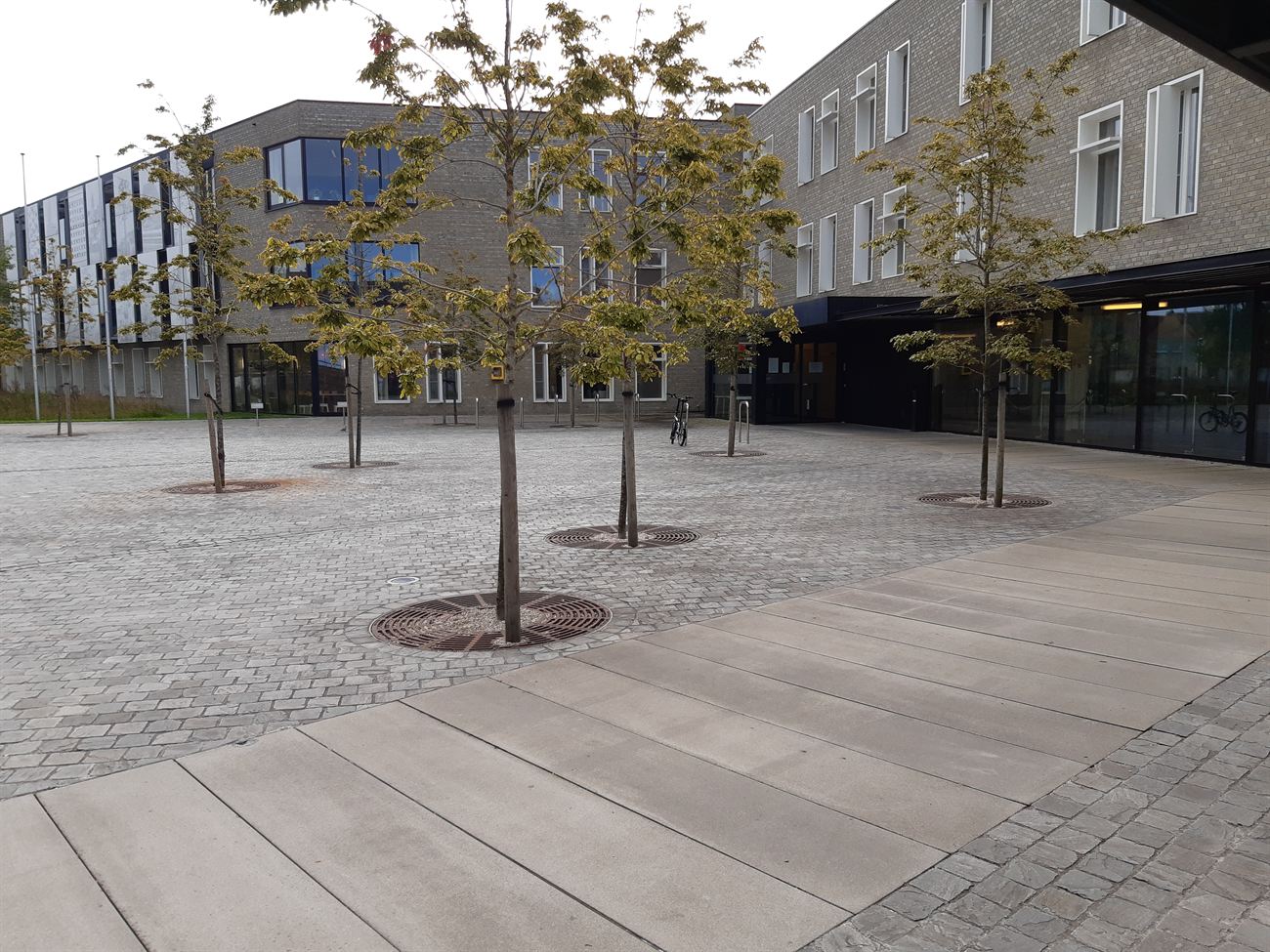 Modern plein met jonge bomen en verharding