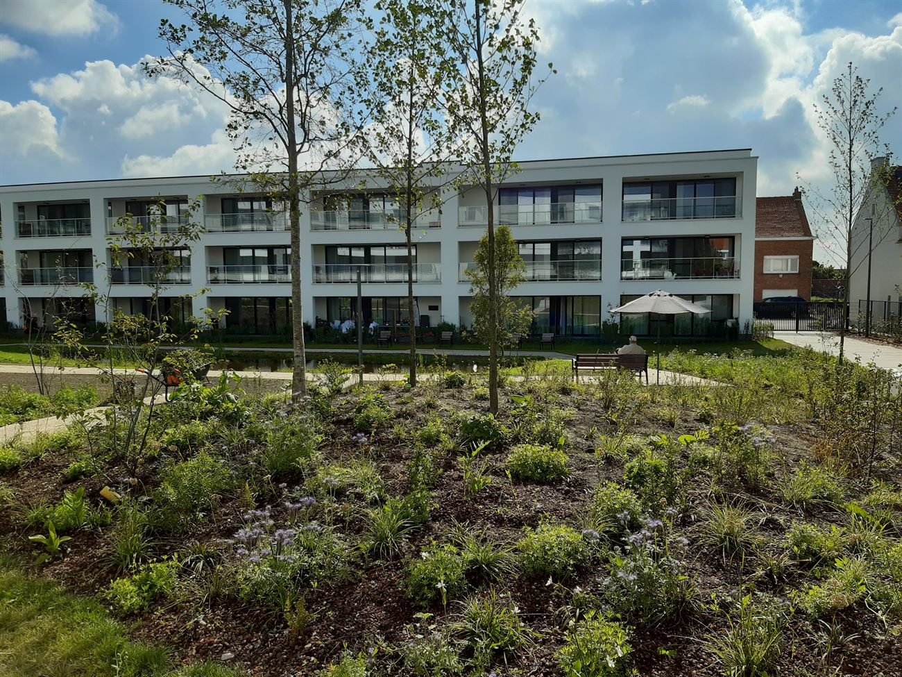 Residentiele tuin met borders, bomen en gebouw op de achtergrond