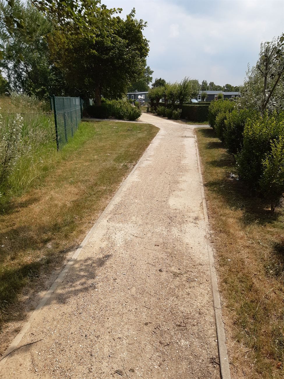 Wandelpad tussen gras, hagen en bomen