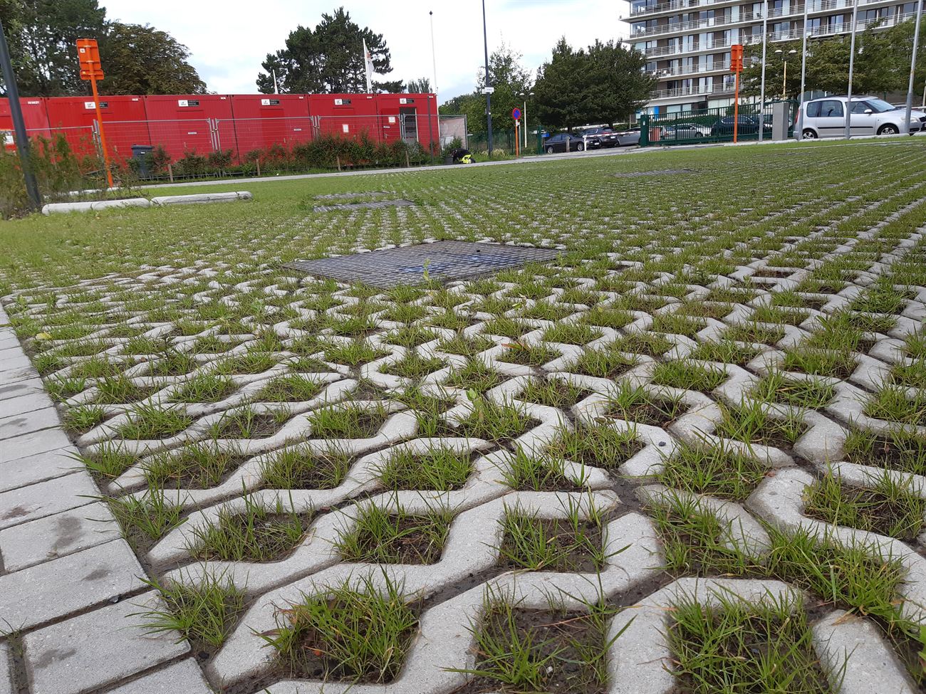 Waterdoorlatende verharding met gras in de voegen
