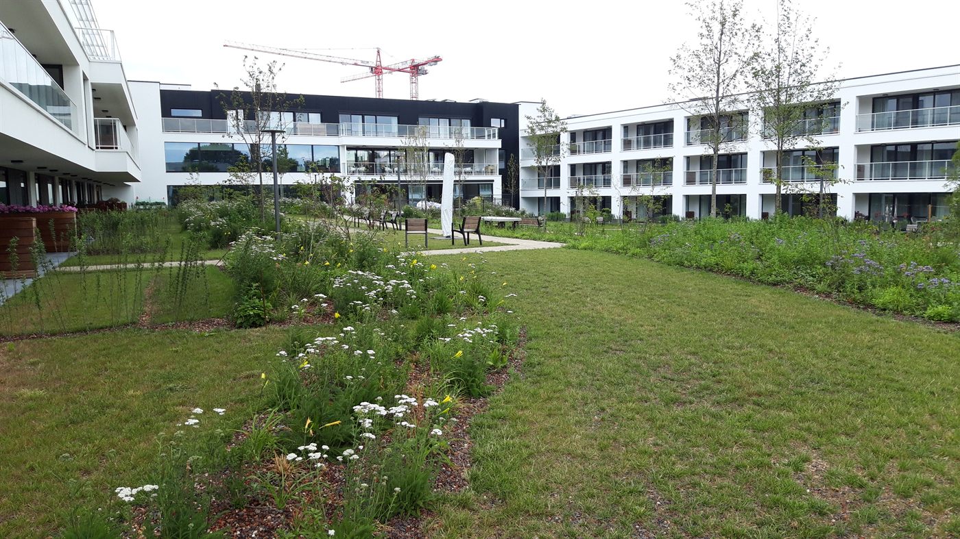 Residentiele groenzone met gazon, borders en jonge bomen